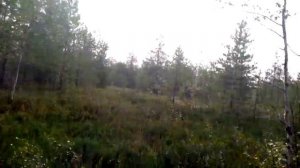 Мотоцикл Скаут 3 еду по болоту