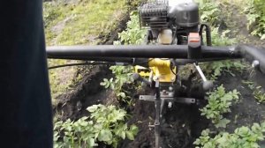 Окучивание картофеля мотоблоком