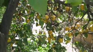 Турция. Кемер в апреле 2019