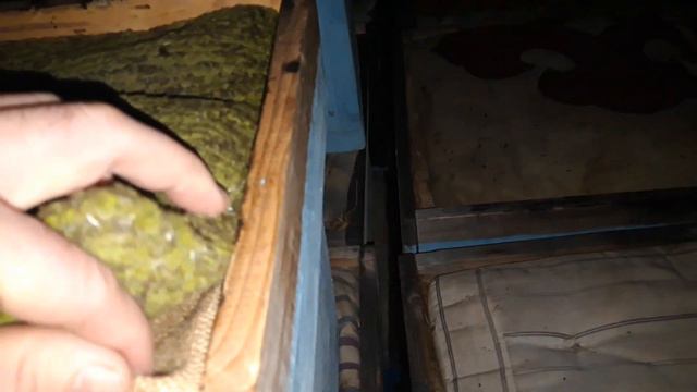 УАЗ ПАТРИОТ съездил на пасику осмотрел пчел смотреть онлайн
