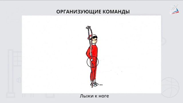 Подъем на склон «лесенкой» на лыжах. Игра «Кто дальше?»Автор: Ермаков Андрей Анатольевич смотреть онлайн