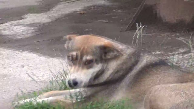 Твоя жизнь – это твое дыхание смотреть онлайн