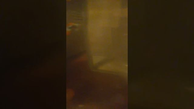 Моя рыбка🐟🐟🐟🐟 смотреть онлайн