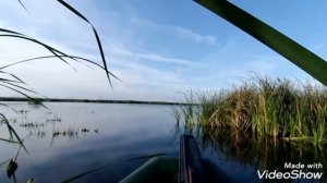 Охота на утку 2020. Ветлянское водохранилище. #БЕРЕТТА #охота