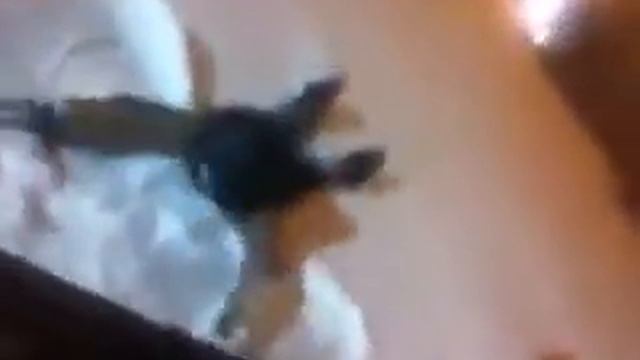 НИКИТЕ СЕГОДНЯ ОЧЕНЬ ПЛОХО😹😂 смотреть онлайн