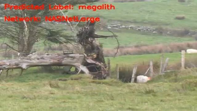 Demo of classification of imagenet using NASNetLarge смотреть онлайн