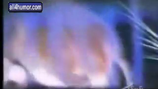 Видео с мышами для кошек смотреть онлайн