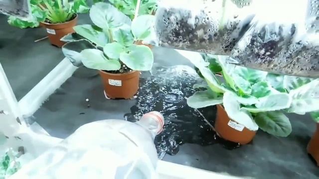 Полив стеллажей смотреть онлайн