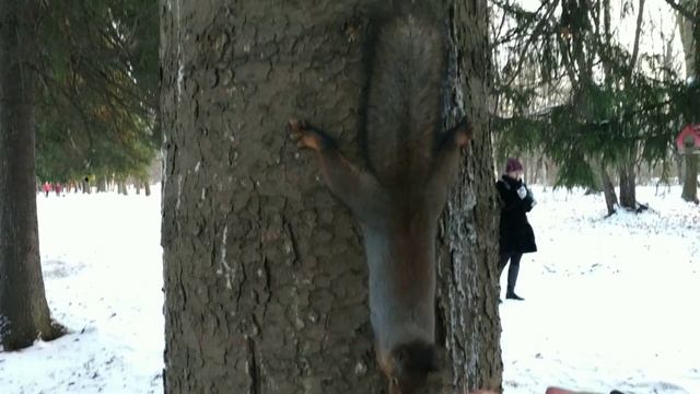 Категория Е ! знакомство с Альбертом с канал Категория Е смотреть онлайн