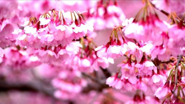 Перераспределение жизненных приоритетов по скорейшему выходу из трехмерной матрицы