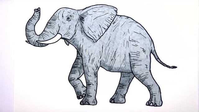 Drawing And Coloring a Elephant - Wild Animals Color Pages For Childrens смотреть онлайн