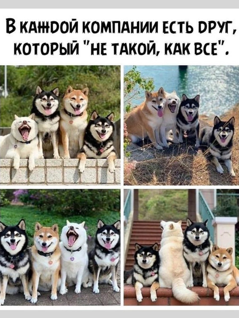 Утро смотреть онлайн