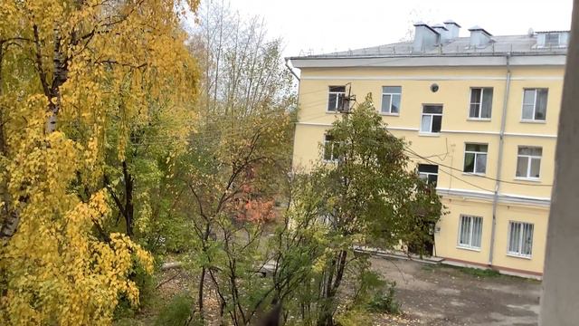 🍁🍂У кошки Таси всё под контролем🐈 Дворник работает в поте лица💪 смотреть онлайн