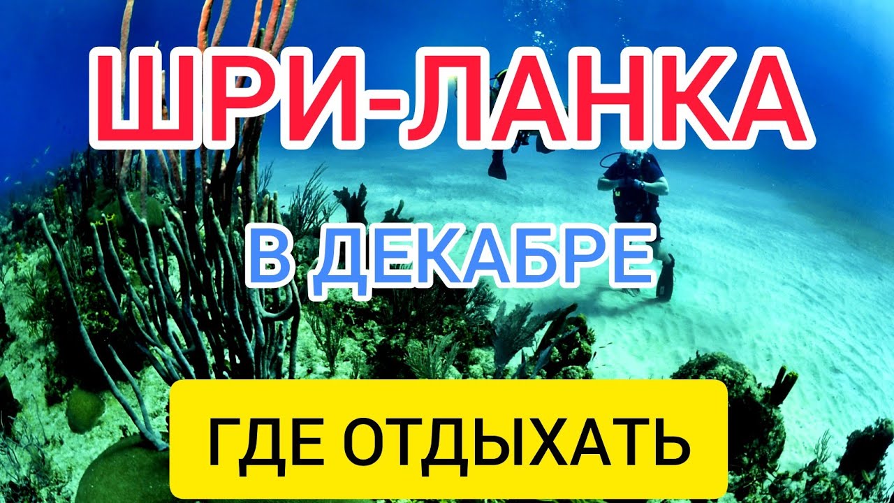 ШРИ ЛАНКА в декабре отдых_ чем заняться на Шри Ланке зимой_ Шри Ланка в январе_ погода, отдых.mp4 смотреть онлайн