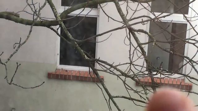 Перестановка и Комод смотреть онлайн