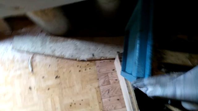 Спасаем кавказских пчел в Подмосковье смотреть онлайн