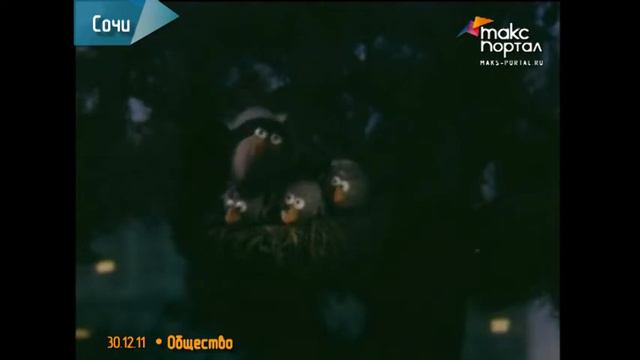 Сочинцы знают, что такое счастье и как быть счастливыми смотреть онлайн