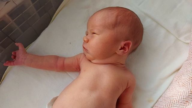 18.02.2021 Роберт икает смотреть онлайн