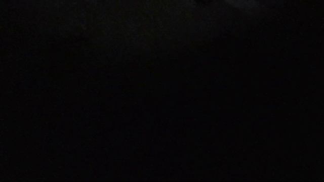 Карп на донки, устал таскать этих кабанов.Рыбалка с ночевкой. смотреть онлайн