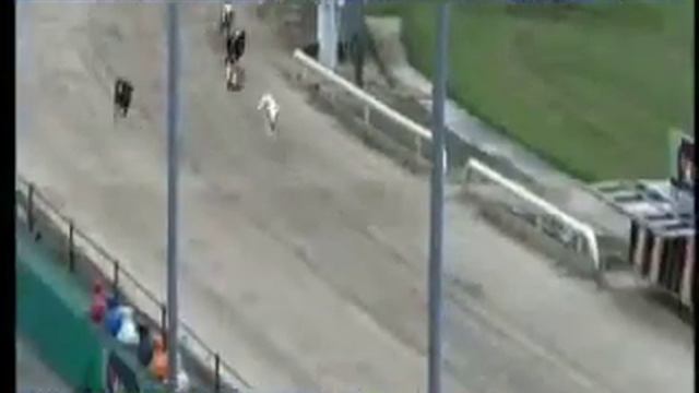 IGB - THE GREYHOUND-DATA.COM A6 13/07/2019 Race 4 - Lifford смотреть онлайн