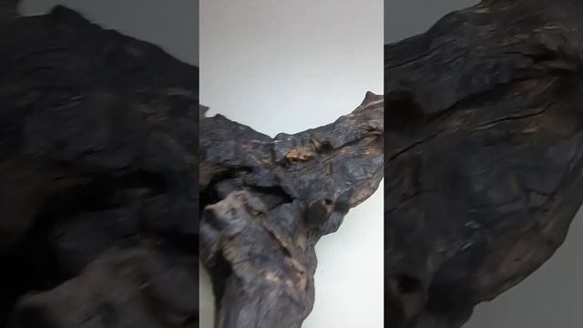 Голова лесного духа. смотреть онлайн