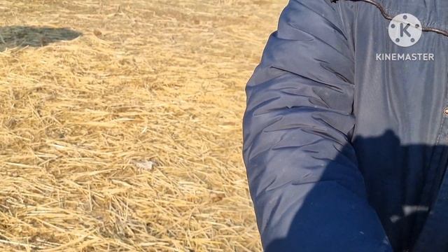 ЯНГИ ПАРТИЙА КЕЛДИ ФАКАТ ШОШЛИН БУГУН ОРЗОН АЙТВАРДИ АХМАДЖОН АКАМИЗ ЙЕМГА ТАЙАРИДАН смотреть онлайн