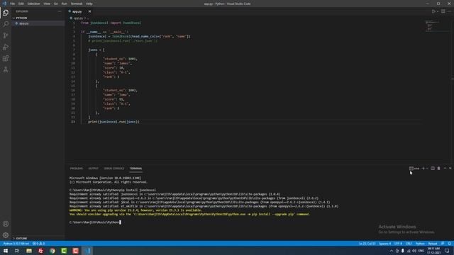 Convert JSON to Excel using json2excel Library in Python смотреть онлайн