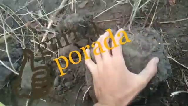 Почему нельзя разбивать грудки земли осенью смотреть онлайн