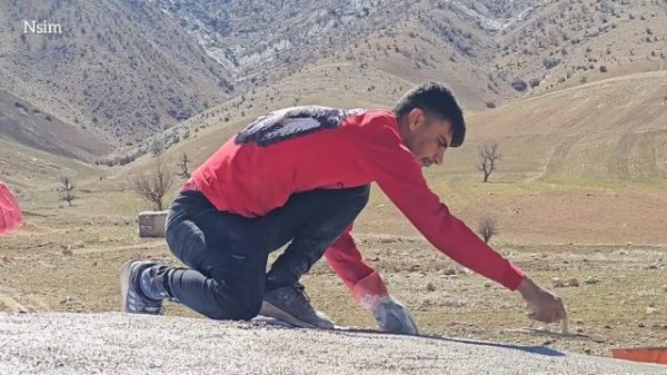 Building a roof of love and dreams: Creating a protective space for Ali and Sara🌹💍🥰