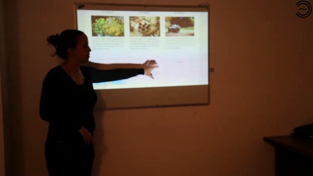 WordPress смотреть онлайн