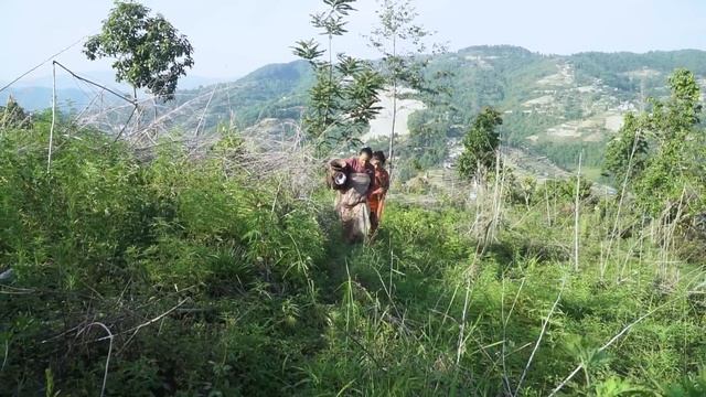 ठूले - ६३ || Thule Episode - 63 || 14 June 2023 || Hiuwala Gautam, Sabin, Bishnu, Bikram, Arpana смотреть онлайн