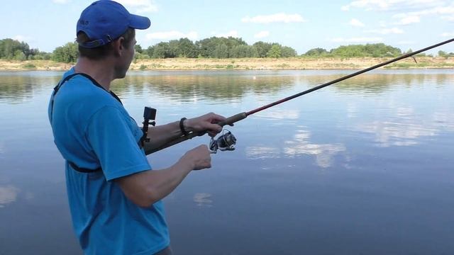 ОБЗОР и ТЕСТ Катушка безынерционная SALMO Elite Bolognese 8 3000Fd 3630FD Миша меня обловил! смотреть онлайн