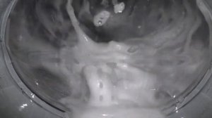 Стиральная машина ATLANT 60С102 Очистка барабана (хлопок 90 без отжима)