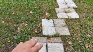 Самые дешевые и простые садовые дорожки на даче спустя месяц использования