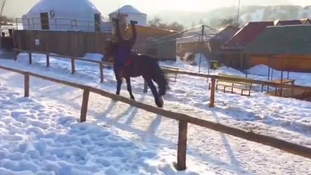 Трюк Оборотник (Джигитовка) #лошадь #конь #horse #stunt смотреть онлайн