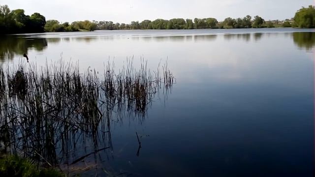 Речка Чаша. смотреть онлайн