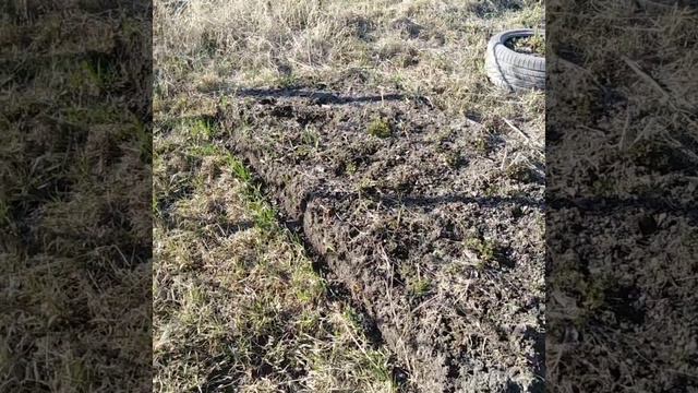 Посадка фундука. Огородные дела. Погода налаживается смотреть онлайн
