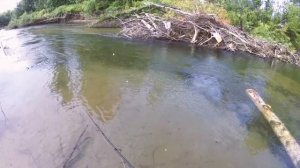 Усть Нарык, рыбалка и отдых река Терсь, Томь, ловим щуку, хариуса. болотоход в действии.