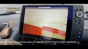 Кто круче показывает? Самый дорогой или самый дешевый эхолот? Humminbird против Практика.