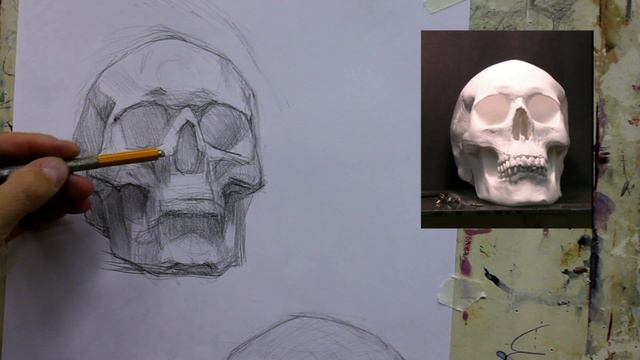 Рисунок черепа в двух ракурсах, 2 часть смотреть онлайн
