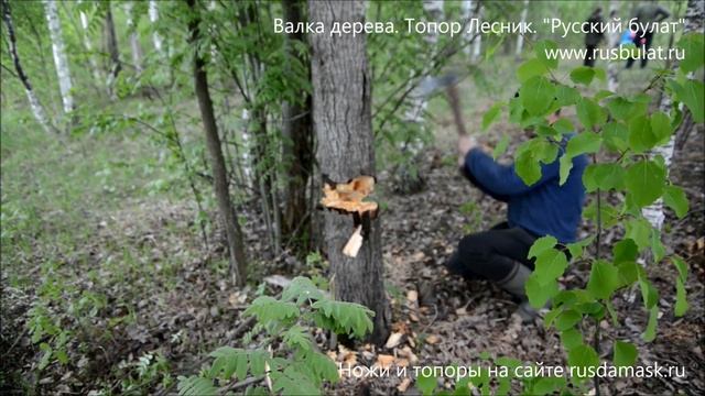 Валка дерева. Топор Лесник. Компания Русский булат смотреть онлайн