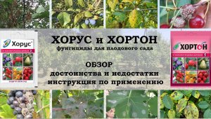 Хорус и Хортон. Обзор фунгицидов
