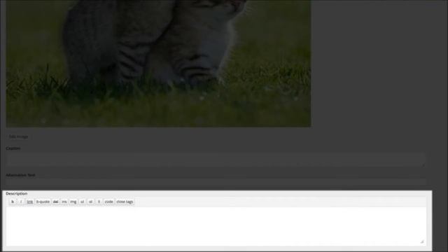 Wordpress Media Library смотреть онлайн