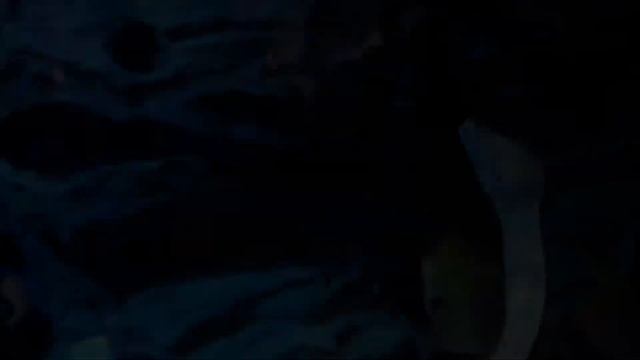 S.E.A. Aquarium, Aquarium In Singapore