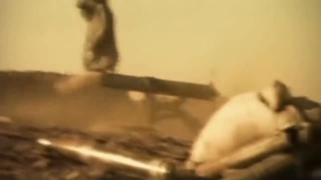 Александр Гросс и Дмитрий Ефимов-Салам Шурави