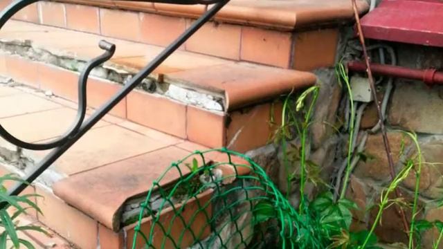 Ремонт крыльца дома в СНТ «Успех» на Дмитровском шоссе. Особенности облицовки то технологии C3 смотреть онлайн