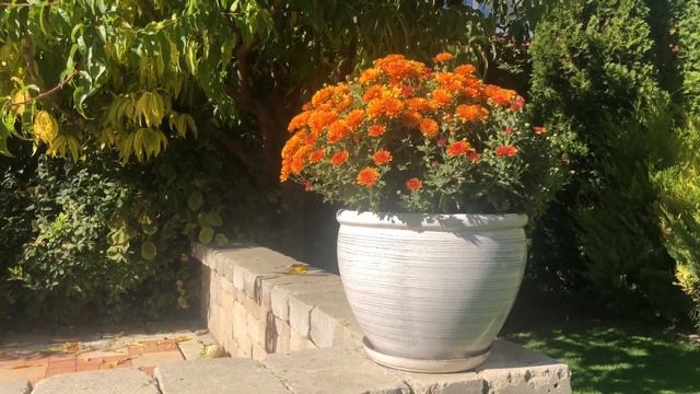 Заборы кампании Bernstone!