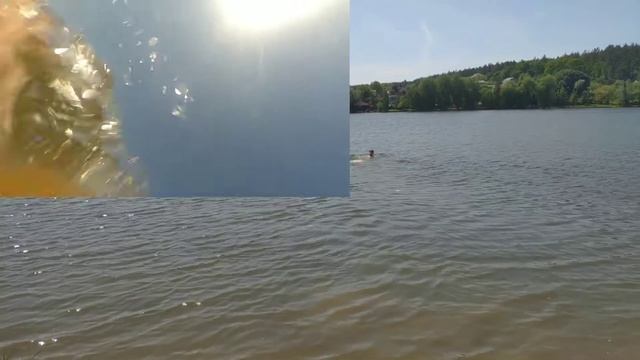 Открыл купальный сезон.