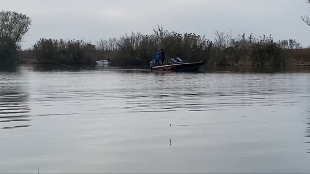 БЕШЕНЫЙ КЛЁВ САЗАНА НА ГОРОХ. Рыбалка в ноябре на острове. смотреть онлайн