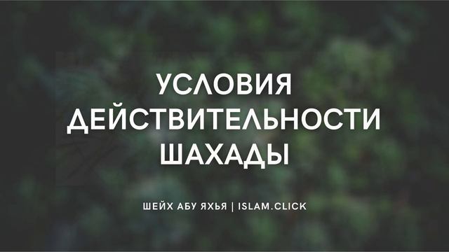 Условия действительности шахады | Шейх Абу Яхья смотреть онлайн